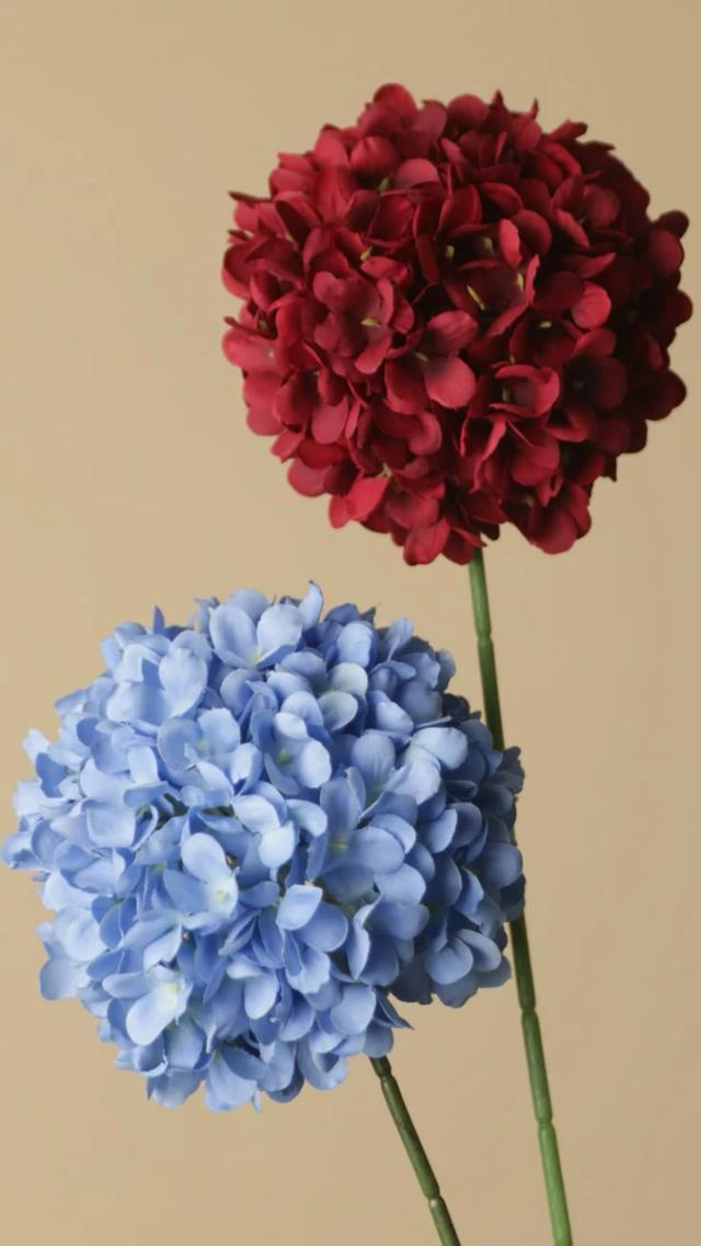 繡球花