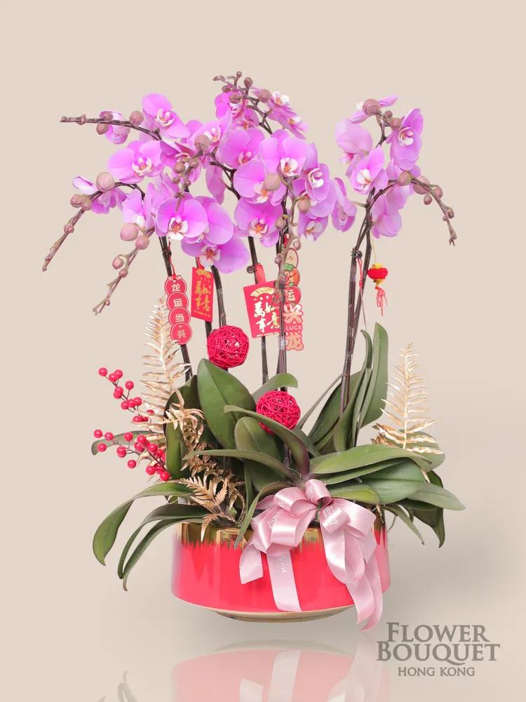 蘭花盤栽 6/8枝 (淺粉) (一天前預訂) - 點擊查看商品詳情 蘭花盤栽 6/8枝 (淺粉) (一天前預訂) | 御花店